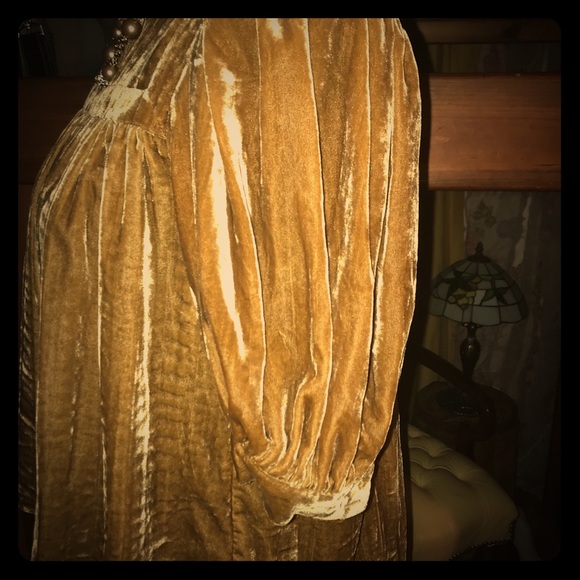 NWOT! Gold Velvet top - Picture 2 of 6